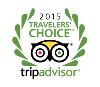 ComfortDelGro 2015 Travelers' choice trip advisor logo