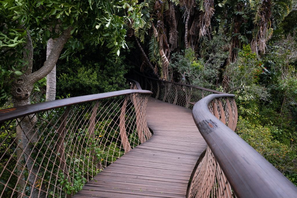 valentine's day singapore treetop walk